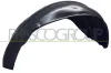 Innenkotflügel vorne links PRASCO VG9133604
