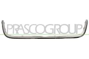 Kühlergitter PRASCO VG9172226