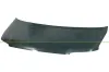Motorhaube PRASCO VG9173100