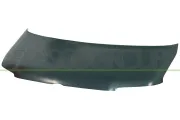 Motorhaube PRASCO VG9173100