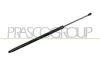 Gasfeder, Koffer-/Laderaum hinten links hinten rechts PRASCO VG9179055