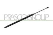 Gasfeder, Koffer-/Laderaum hinten links hinten rechts PRASCO VG9179055