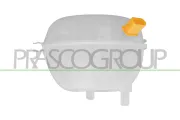 Ausgleichsbehälter, Kühlmittel PRASCO VG917VE01