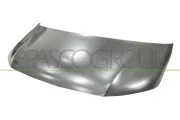 Motorhaube PRASCO VG9213130