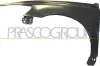 Kotflügel vorne links PRASCO VV3203004