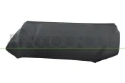 Motorhaube PRASCO VV5113100
