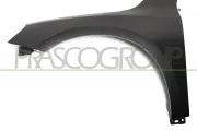 Kotflügel vorne links PRASCO VV5183004