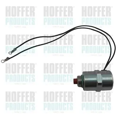 Abstellvorrichtung, Einspritzanlage 12 V HOFFER 8029030