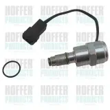 Abstellvorrichtung, Einspritzanlage HOFFER 8029119