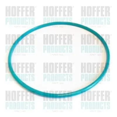 Dichtung, Kraftstoffbehälterverschluss HOFFER GSK01