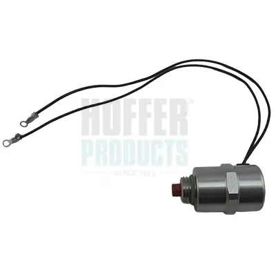 Abstellvorrichtung, Einspritzanlage 12 V HOFFER 8029030