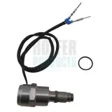 Abstellvorrichtung, Einspritzanlage 12 V HOFFER 8029031