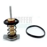 Thermostat, Kühlmittel HOFFER 8192840