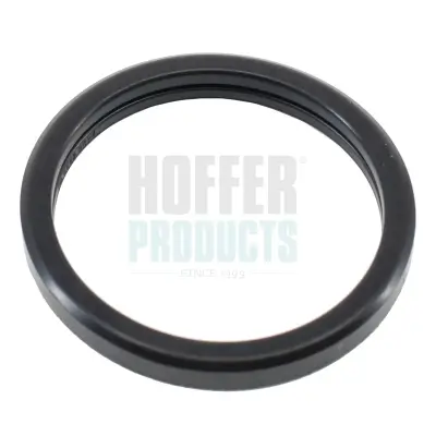 Dichtung, Thermostat HOFFER 01658 Bild Dichtung, Thermostat HOFFER 01658