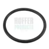 Dichtung, Thermostat HOFFER 01661