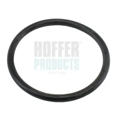Dichtung, Thermostat HOFFER 01661 Bild Dichtung, Thermostat HOFFER 01661