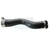 Ladeluftschlauch Ladeluftkühler rechts HOFFER 961242