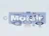 Montagesatz, Lader MOTAIR TURBO 440324