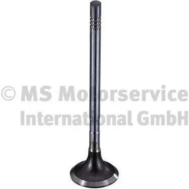 Auslassventil TRW Engine Component 189003 Bild Auslassventil TRW Engine Component 189003