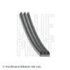 Keilrippenriemen BLUE PRINT AD03R785