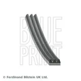 Keilrippenriemen BLUE PRINT AD03R872