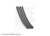 Keilrippenriemen BLUE PRINT AD04R1155