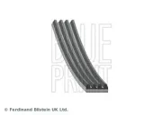Keilrippenriemen BLUE PRINT AD04R1155