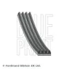 Keilrippenriemen BLUE PRINT AD04R641