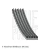 Keilrippenriemen BLUE PRINT AD05R926