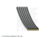 Keilrippenriemen BLUE PRINT AD06A926