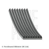 Keilrippenriemen BLUE PRINT AD08R1956