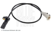Sensor, Raddrehzahl Hinterachse links Hinterachse rechts BLUE PRINT ADA107109