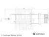 Kraftstofffilter BLUE PRINT ADBP230041 Bild Kraftstofffilter BLUE PRINT ADBP230041