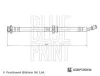 Bremsschlauch Vorderachse rechts BLUE PRINT ADBP530034 Bild Bremsschlauch Vorderachse rechts BLUE PRINT ADBP530034