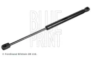 Gasfeder, Koffer-/Laderaum beidseitig BLUE PRINT ADBP580002