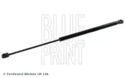 Gasfeder, Koffer-/Laderaum beidseitig BLUE PRINT ADBP580004