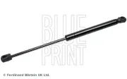 Gasfeder, Koffer-/Laderaum beidseitig BLUE PRINT ADBP580027