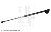 Gasfeder, Koffer-/Laderaum hinten rechts BLUE PRINT ADBP580032