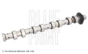 Nockenwelle Auslassseite BLUE PRINT ADBP610215