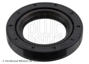 Steuerkettensatz BLUE PRINT ADBP730086