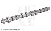 Nockenwelle Auslassseite BLUE PRINT ADBP610462