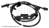 Sensor, Raddrehzahl Hinterachse links BLUE PRINT ADBP710004 Bild Sensor, Raddrehzahl Hinterachse links BLUE PRINT ADBP710004