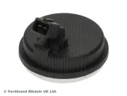 Sensor, Raddrehzahl Hinterachse links Hinterachse rechts BLUE PRINT ADBP710158