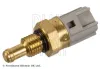 Sensor, Kühlmitteltemperatur BLUE PRINT ADBP720005 Bild Sensor, Kühlmitteltemperatur BLUE PRINT ADBP720005