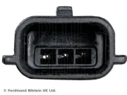 Lagerung, Motor vorne BLUE PRINT ADBP800007