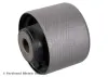 Lagerung, Differential Hinterachse links Hinterachse rechts vorne BLUE PRINT ADBP800374