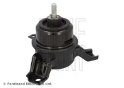 Lagerung, Motor vorne rechts BLUE PRINT ADBP800502