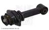 Lagerung, Motor vorne BLUE PRINT ADBP800639 Bild Lagerung, Motor vorne BLUE PRINT ADBP800639