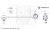 Stange/Strebe, Stabilisator Vorderachse rechts BLUE PRINT ADBP850038