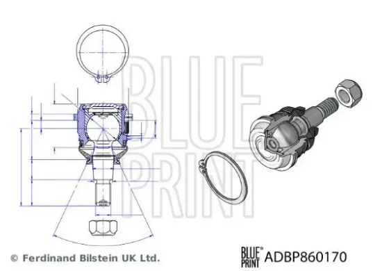 Trag-/Führungsgelenk unten Vorderachse links Vorderachse rechts BLUE PRINT ADBP860170 Bild Trag-/Führungsgelenk unten Vorderachse links Vorderachse rechts BLUE PRINT ADBP860170